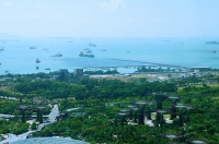 сады в заливе