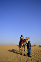 Ох уж эта работа