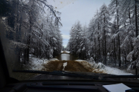 На 3й олений.