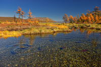 Живая вода...