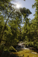 р. Белокуриха