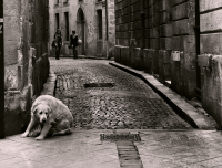 Лабиринт времени