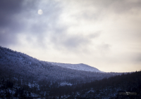 по пути к Венцу