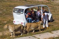 Под надёжной охраной!