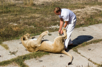 Я тебя не боюсь! Я тоже!