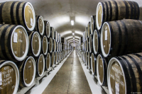 Винный погребок