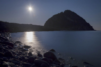 Ночь Островного