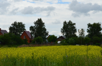 Родные местечки