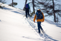 на снегоступах