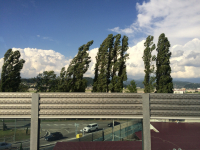 Новое шоссе. Олимпийские гонки