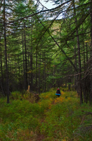 Тропою Берендея