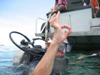 Кэп, все в норме, плывем дальше!