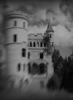 усадьба графа Храповицкого в Муромцево