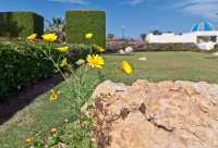 там где лето