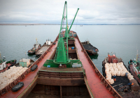 "Иван Строд"