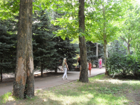 остановись мгновенье...