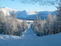 Талая, 06.12.2011