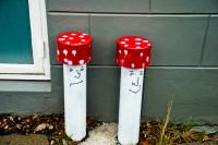 Горькие друзья