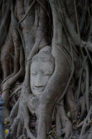 голова Будды