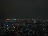 東京の夜景