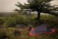 Дороги снова вдаль зовут...