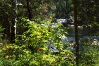 Долина Чулумшан - 4