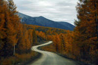 это не беда, что там не ждут меня ... (c)