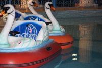 гуси-лебеди на моторе -Тунис 2012