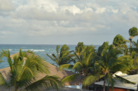 И пальмы гнулись…