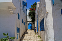 "Голубой город"