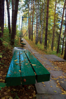 Алтайский альбом