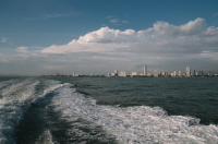 Покидая Джорджтаун