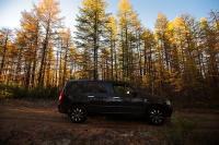 дороги которые мы выбираем