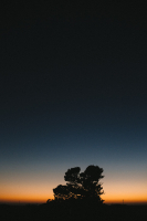 @Santa Cruz, California