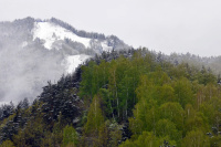 Алтайский альбом