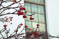 городские мотивы