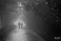 туманный город