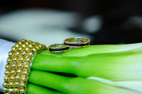 Настя + Илья