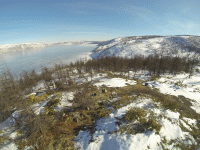 Вокруг себя