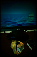 Хотел услышать море....