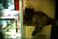 Мне все по...