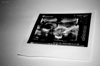 Новая жизнь