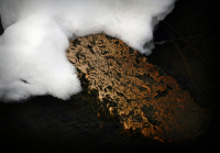 Нашёл в овраге в Коломенском