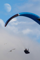 Дотянуться до луны