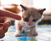 Эти глазки....