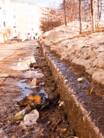 Весенний бордюр...