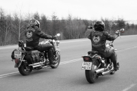 "Полет полярных сов"