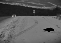 Дорога жизни.