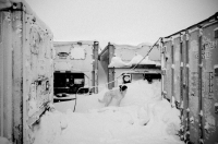 ..холодно и голодно