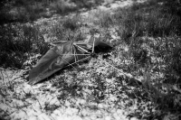 Последний день